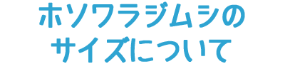 ホソワラジムシのサイズについて