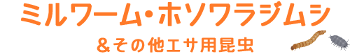 ミルワーム・ホソワラジムシ&その他エサ用昆虫